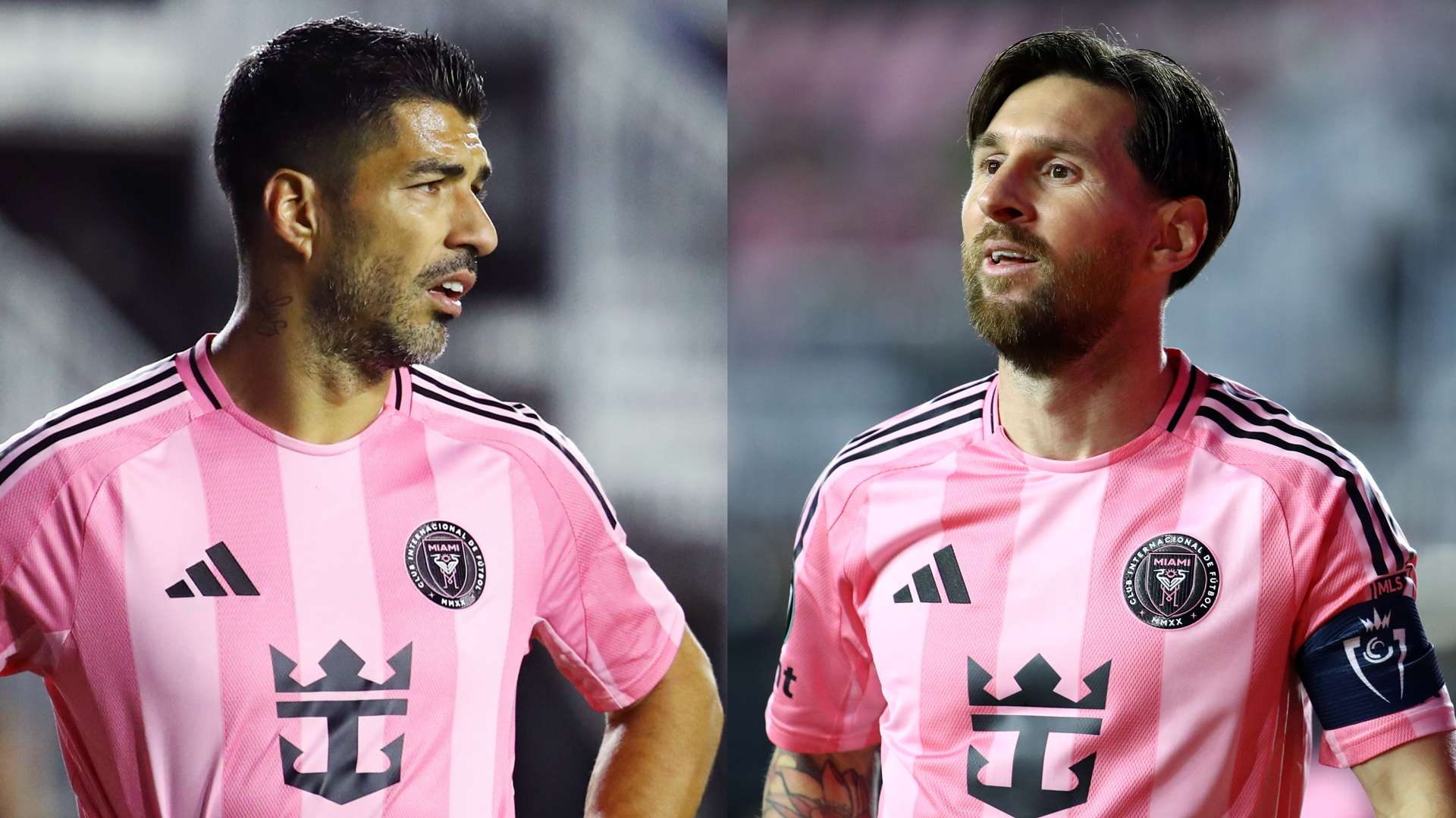 顽强意志 顽强意志